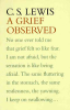 A_grief_observed