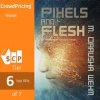 Pixels_and_Flesh