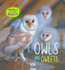 Owls_and_owlets