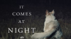 It_Comes_at_Night