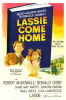 LASSIE_COME_HOME