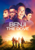 Benji_The_Dove
