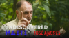 Undiscovered_Haiti_with_Jose_Andres