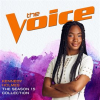 The_Season_15_Collection__The_Voice_Performance_