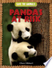 Pandas_at_risk